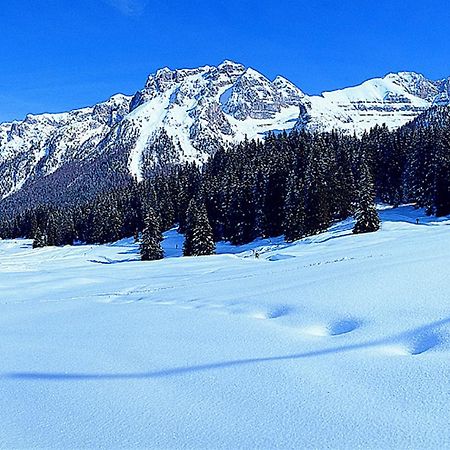 MadonnaCampiglio Trilocale Monte Spinaleアパートメント 部屋 写真